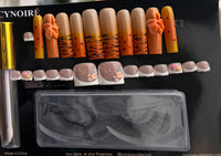 Orange Tiger Butterfly Set
